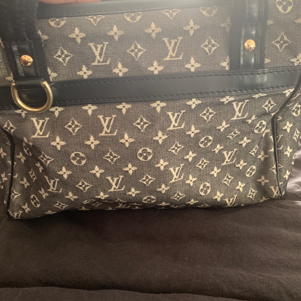 Louis Vuitton Josephine Bag.